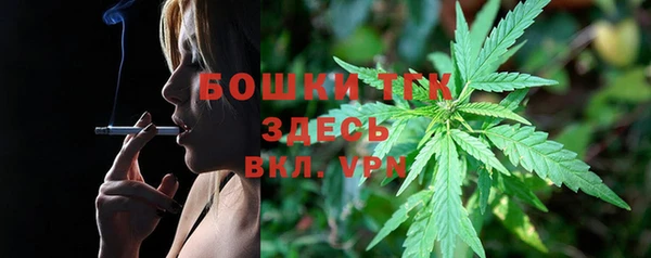 PSILOCYBIN Алексеевка