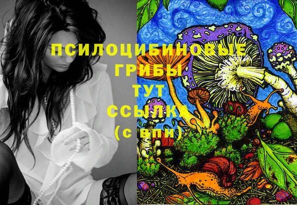PSILOCYBIN Алексеевка